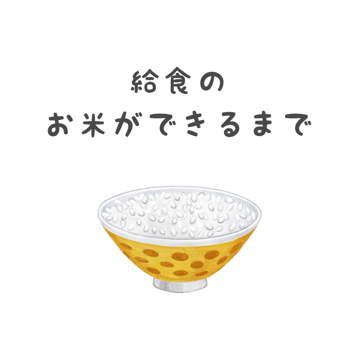 給食のお米ができるまで